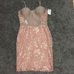 NEW WITH TAGS Charlotte Russe Mauve Dress